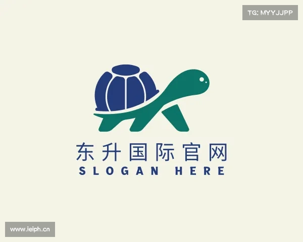 关于东升国际官网